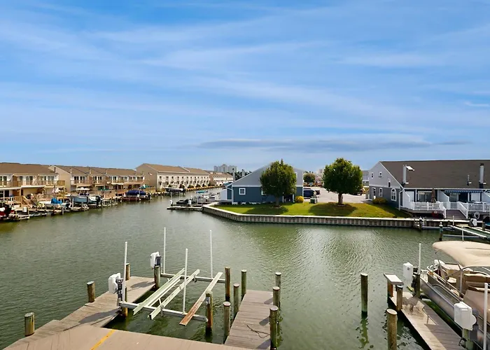 Bayside Beauty